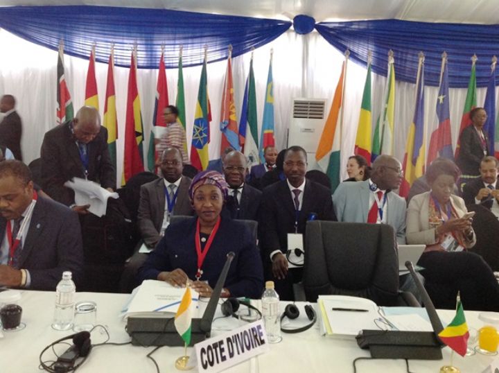 Zimbabwe/  67ème session du Comité Régional de l’OMS pour l’Afrique : la Côte d’Ivoire honorée